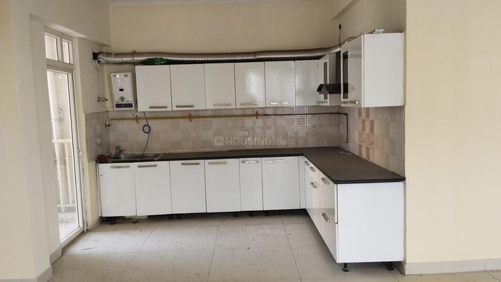 Saya Zion Main Image 1