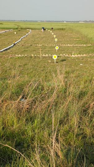 RIDDHIPURAM CITY Plot View 1