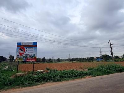 Residential Plot