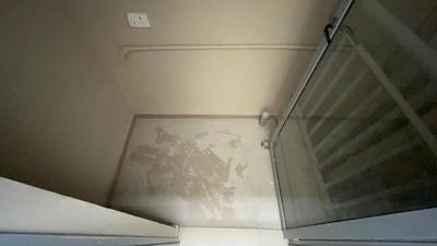 Balcony Image of 790 Sq.ft 2 BHK Apartment / Flat for rent in Mahindra Happinest Tathawade, Tathawade Pune for Rs. 24500