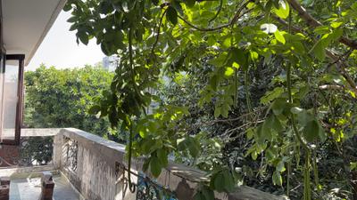 Image of 2700 Sq.ft 3 BHK Builder Floor for rent in DLF Phase 2, Gurgaon for Rs. 60000