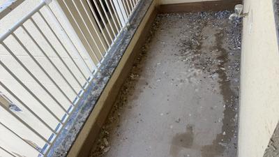 Kitchen Image of 1380 Sq.ft 3 BHK Apartment / Flat for sale in BPTP Park Generations, Sector 37D Gurgaon for Rs. 18500000