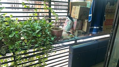 Image of 954 Sq.ft 2 BHK Apartment / Flat for sale in Whistling Real Aura, Chandkheda, Ahmedabad for Rs. 5050000