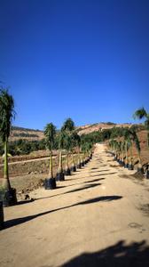 Image of 10890 Sq.ft Residential Plot / Land for sale in Igatpuri, Nashik for Rs. 5000000