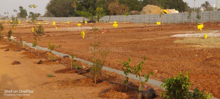 Bommaparthy Main Image 1