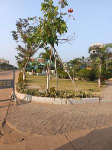 Residential Plot