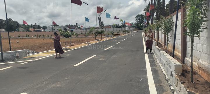 Thippampatti Main Image 1