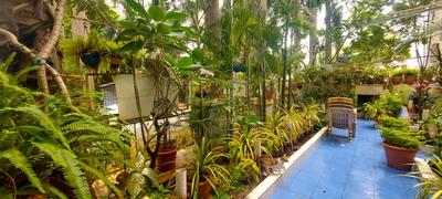 Image of 1400 Sq.ft 3 BHK Independent House for sale in Jhala Nirmal Township, Hadapsar, Pune for Rs. 15500000