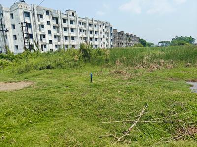 Natagachi Plot View 2