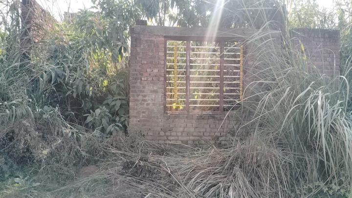 Dhakoli Main Image 1