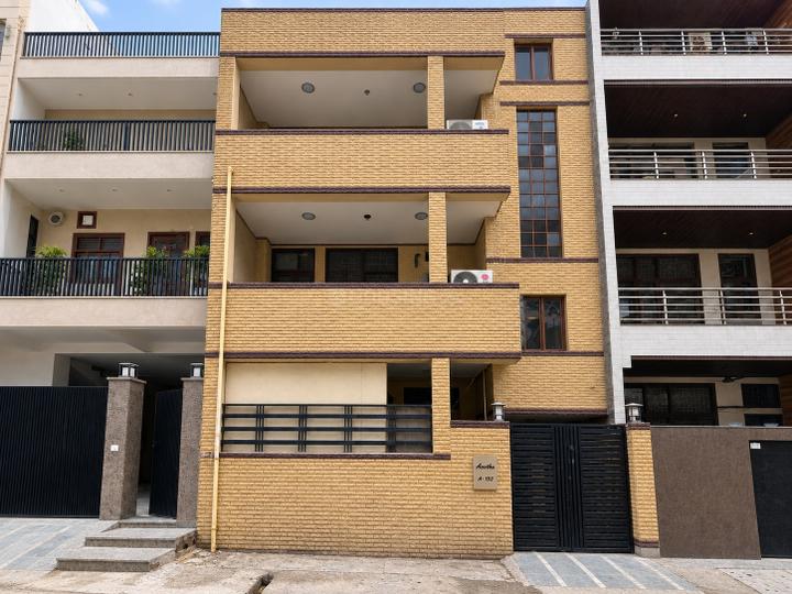 Image of PG Available for Girls With Food in Sector 15 in Sector 15, Noida