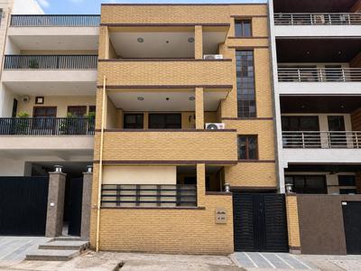 Image of PG Available for Girls With Food in Sector 15 in Sector 15, Noida