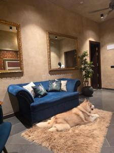 Hall Image of 4600 Sq.ft 5 BHK Villa for rent in Yelahanka Bengaluru for Rs. 350000