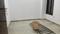 Arjun Nagar Bedroom Two 3