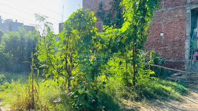 Image of 900 Sq.ft Residential Plot / Land for sale in Sector 53, Faridabad for Rs. 1500000