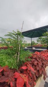 Image of 1060 Sq.ft Residential Plot / Land for sale in Bhilai Marshalling Yard, Charoda for Rs. 1802000