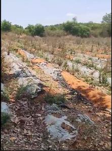 Image of 140000 Sq.ft Residential Plot / Land for sale in Chintamani, Chikballapur District for Rs. 85000000