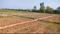 Bihta Main Image 1