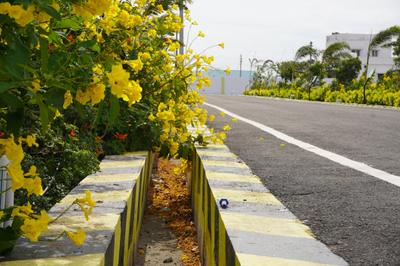 Image of 1500 Sq.ft Residential Plot / Land for sale in Kodies Paradise Avenue, Sulur, Coimbatore for Rs. 3700500