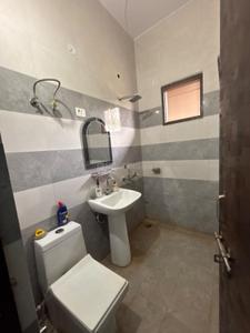 Bathroom Image of 1500 Sq.ft 2 BHK Builder Floor for rent in Hawelia Central, Sector 12 Noida for Rs. 36000
