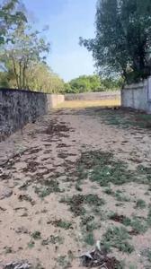 Kanathur Plot View 2