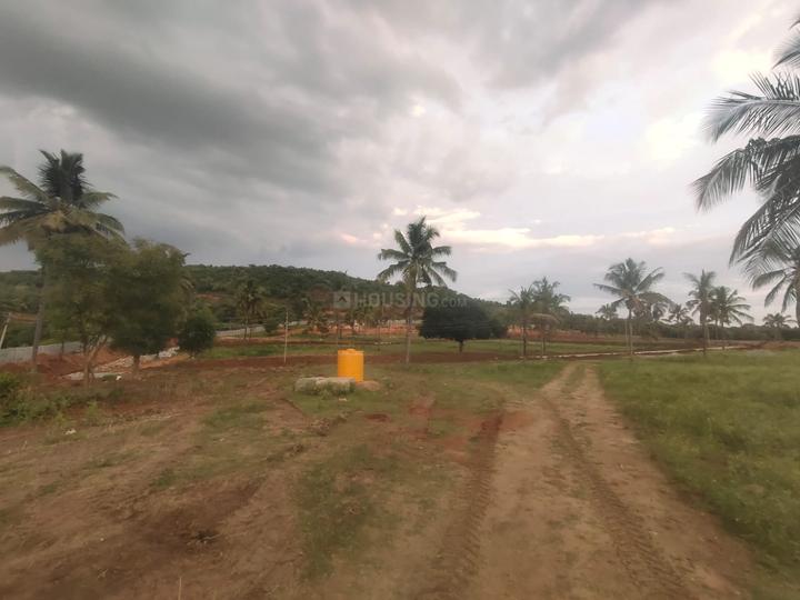 Sadhanapalya Main Image 1