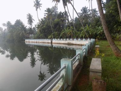 Image of 3200 Sq.ft 5 BHK Villa for sale in North Parvur, Kochi for Rs. 40000000