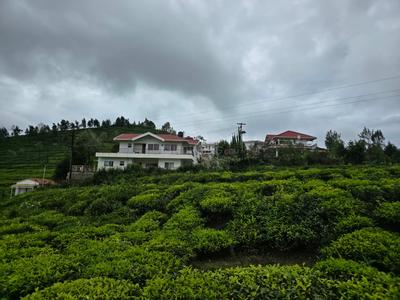 Residential Plot