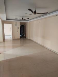 Hall Image of 1270 Sq.ft 3 BHK Apartment / Flat for rent in Kutchery Road Ranchi for Rs. 20000