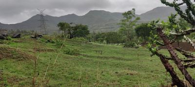 Image of 1000 Sq.ft 1 RK Farm House for sale in Khed Shivapur, Pune for Rs. 700000