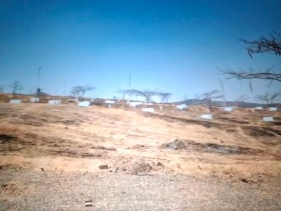 Image of 1089 Sq.ft Residential Plot / Land for sale in Pen, Raigad for Rs. 195000