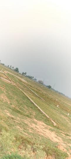 City chowk Main Image 1