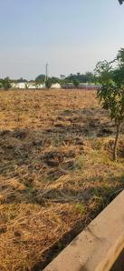 SUDHARSHAN GARDENS Plot View 2