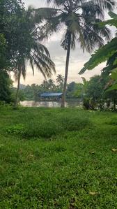 Residential Plot