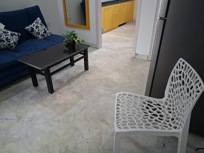Hall Image of 900 Sq.ft 2 BHK Builder Floor for rent in HUDA Plot Sector 42, Sector 42 Gurgaon for Rs. 50000