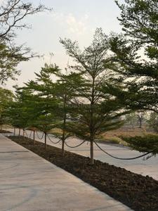 Image of 1152 Sq.ft Residential Plot / Land for sale in Torwa, Bilaspur for Rs. 1584000