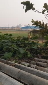 Birbhanpur Plot View 3
