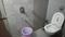 Radhe Govind Aarna Hills Bathroom Two 3