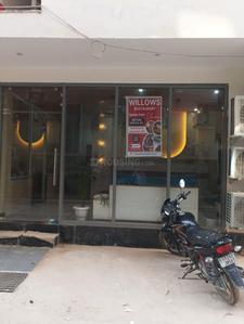 Building Image of Willows PG  in Sector 38, Gurgaon