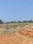 EMERALD HILL ESCAPE Main Image 1