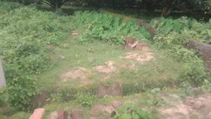 Sky high Main Image 1