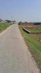 Image of 1200 Sq.ft Residential Plot / Land for sale in Ram Nagar, Varanasi for Rs. 1300000