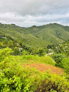 Image of 2400 Sq.ft Residential Plot / Land for sale in Mukteshwar, Nainital for Rs. 15000000