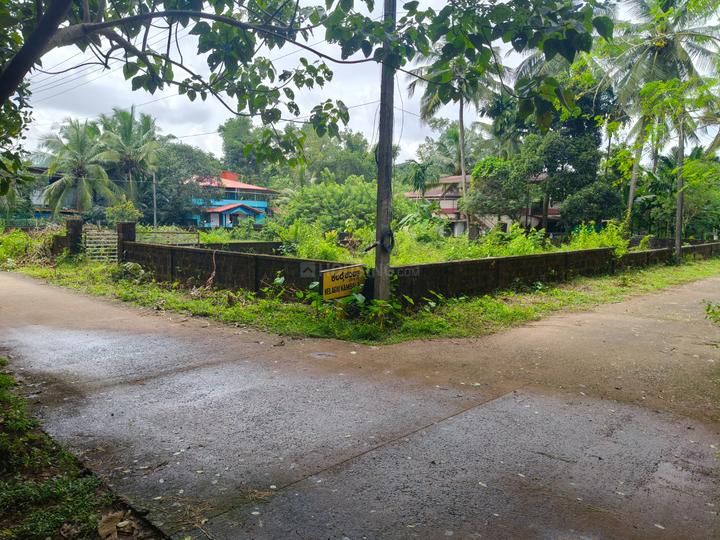 Kelarai Main Image 1