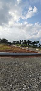 ROYAL AVENUE Plot View 2