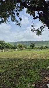 Image of 5000 Sq.ft Residential Plot / Land for sale in Simrol, Indore for Rs. 1500000