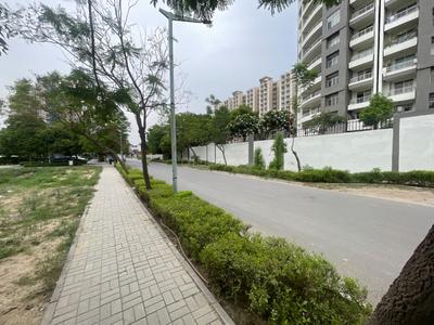 Residential Plot