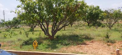 Image of 1200 Sq.ft Residential Plot / Land for sale in Vaibhav Greens Phase I, Mallenahalli, Sidlaghatta, Chikballapur District for Rs. 1080000