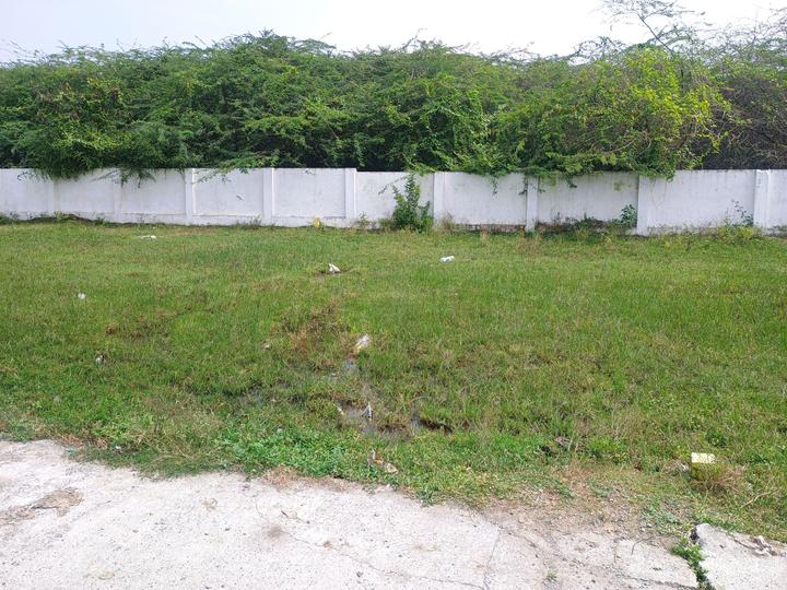 Kattankulathur Main Image 1