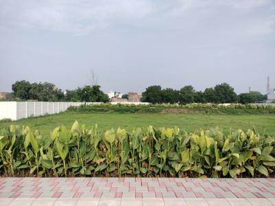 New Stone Coral Park Plot View 1
